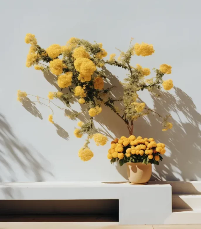 65968d197e2ade52da832709_home-img-01-p-800