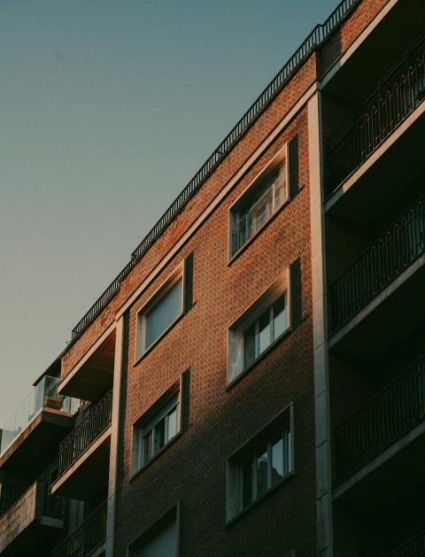 pexels-juantrevilla-28487250